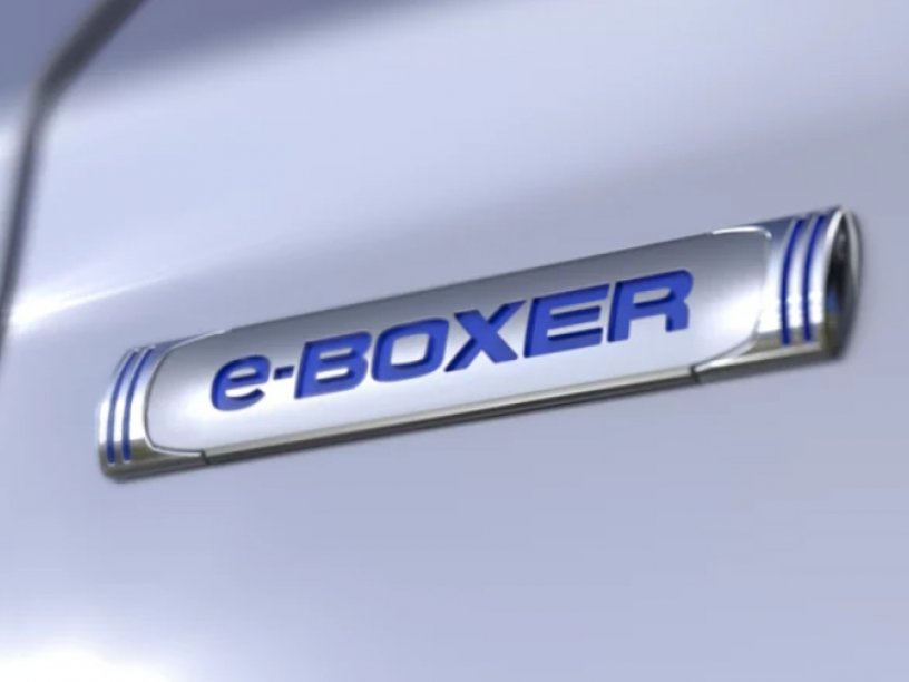 e-Boxer - Badge